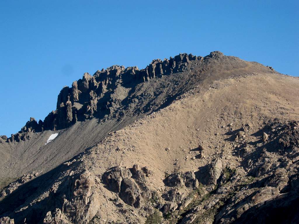 Pico D'Agostino Closeup