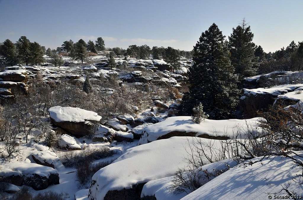 Snow in the park