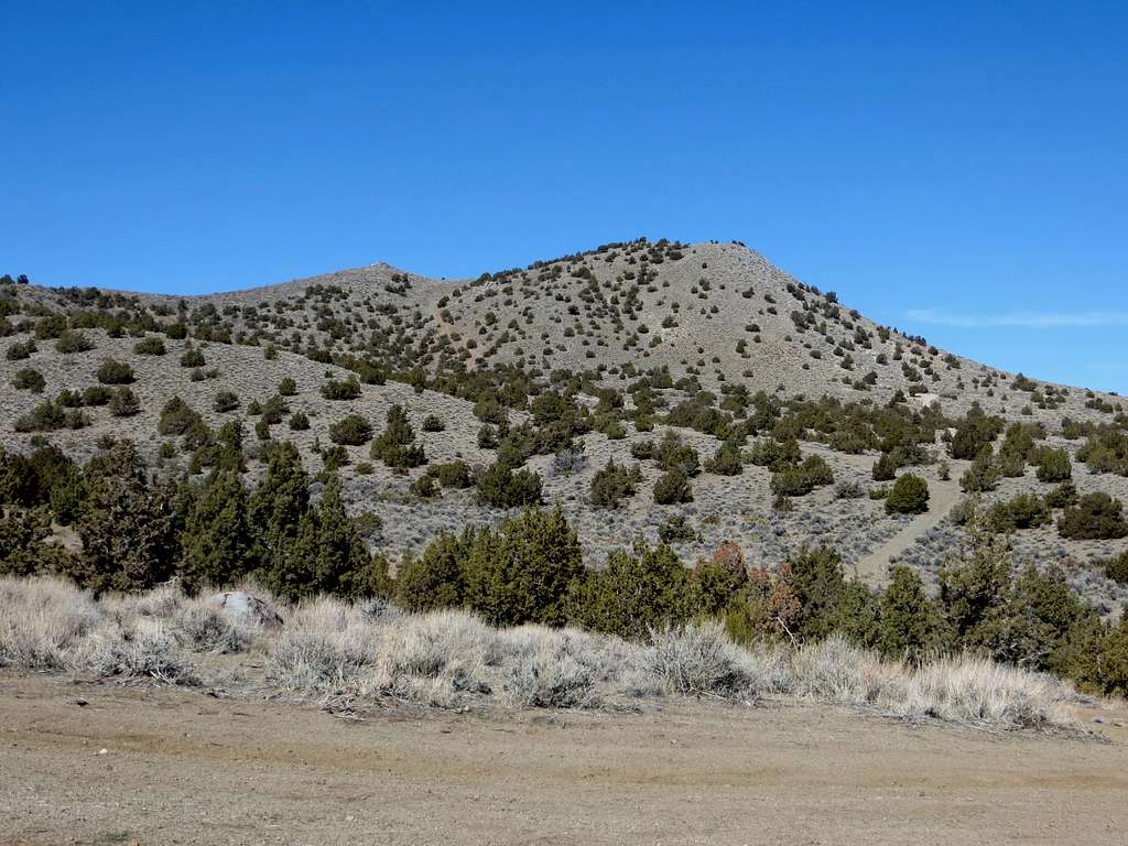 View to the summits from below