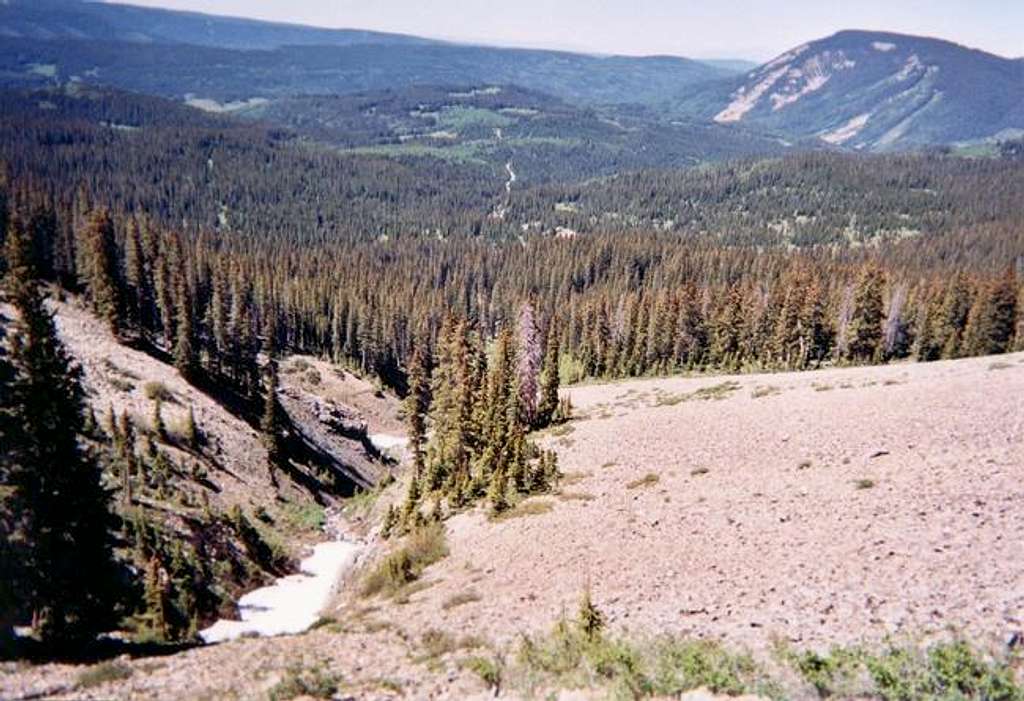 Looking down the Fish Creek...