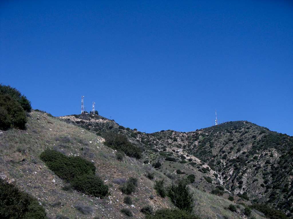 Looking to Verdugo Peak from Wildwood Canyon Trail