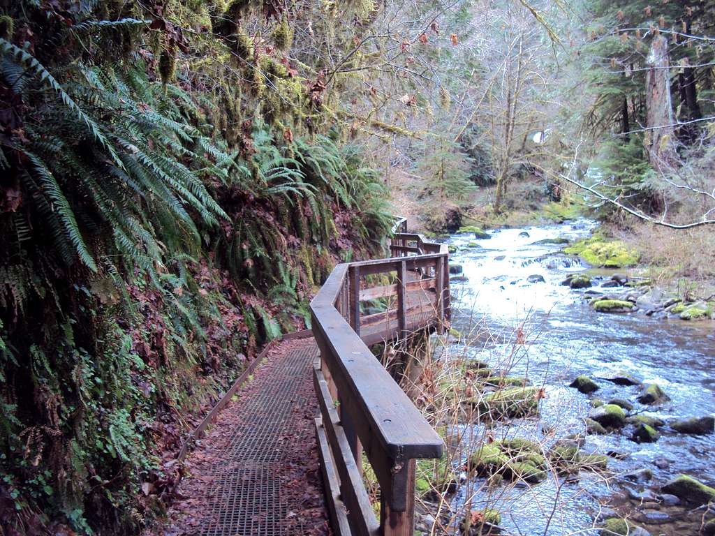 Trail along Creek