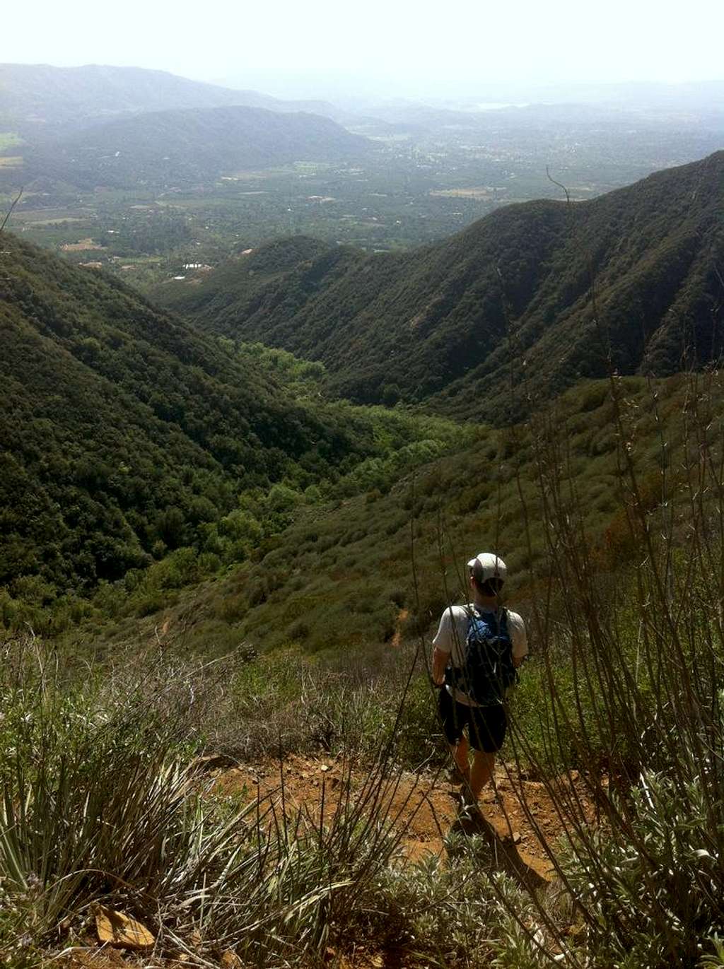 Horn Canyon Trail Head