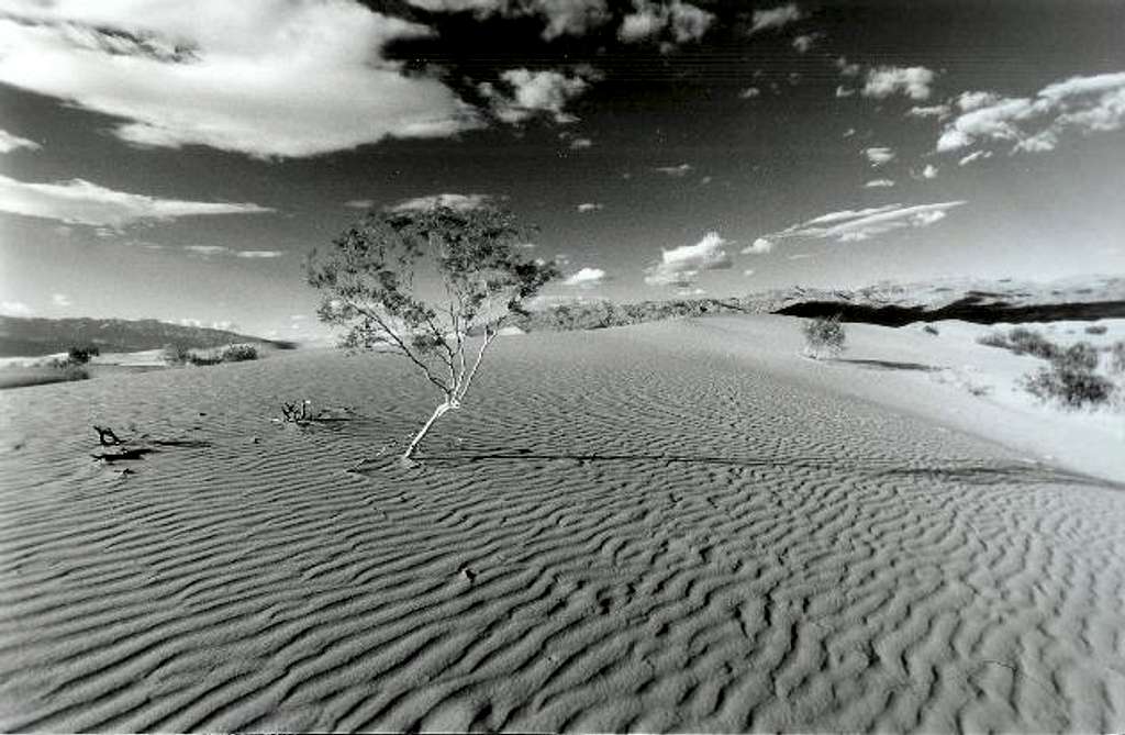 The dunes near Stovepipe...
