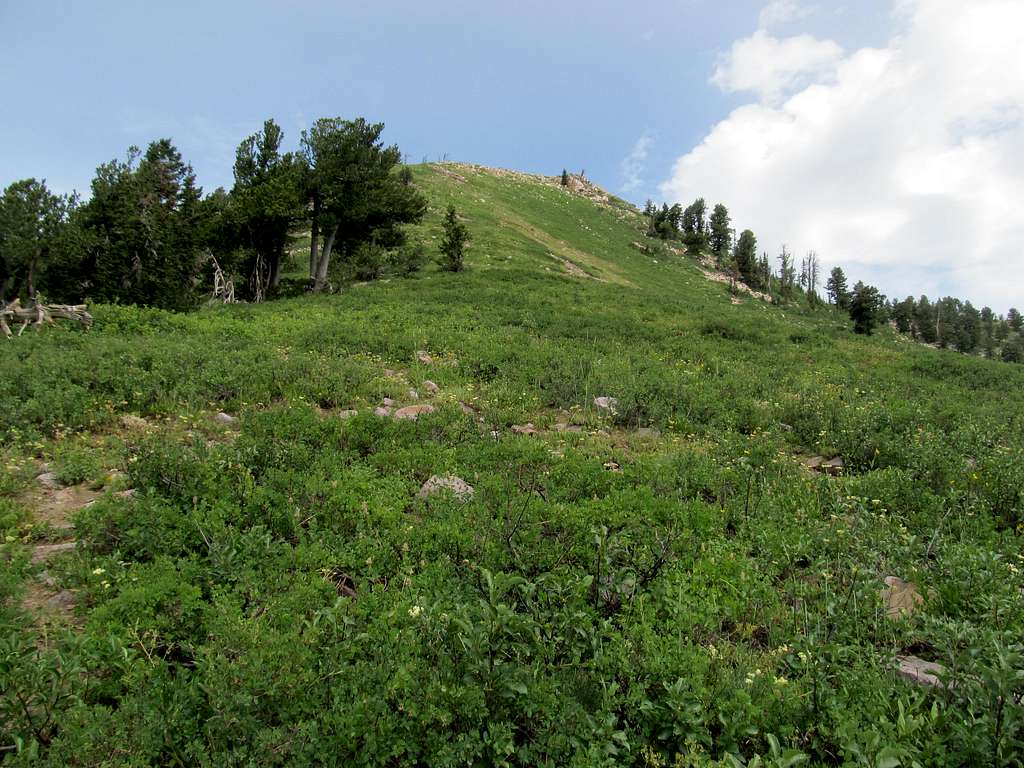 nearing James's summit