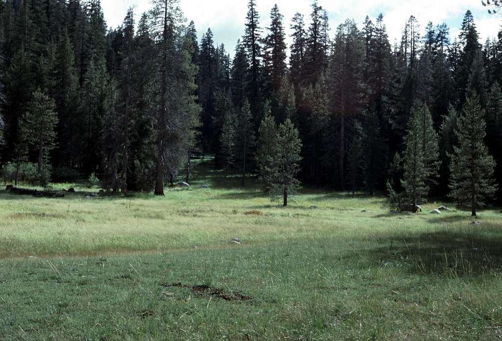 Unnamed Meadow
