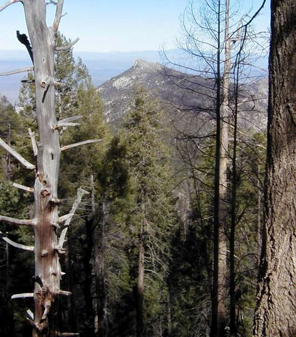 A glimpse of Samaniego Peak...