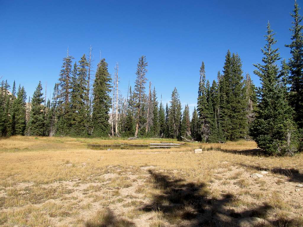 high Uinta meadows