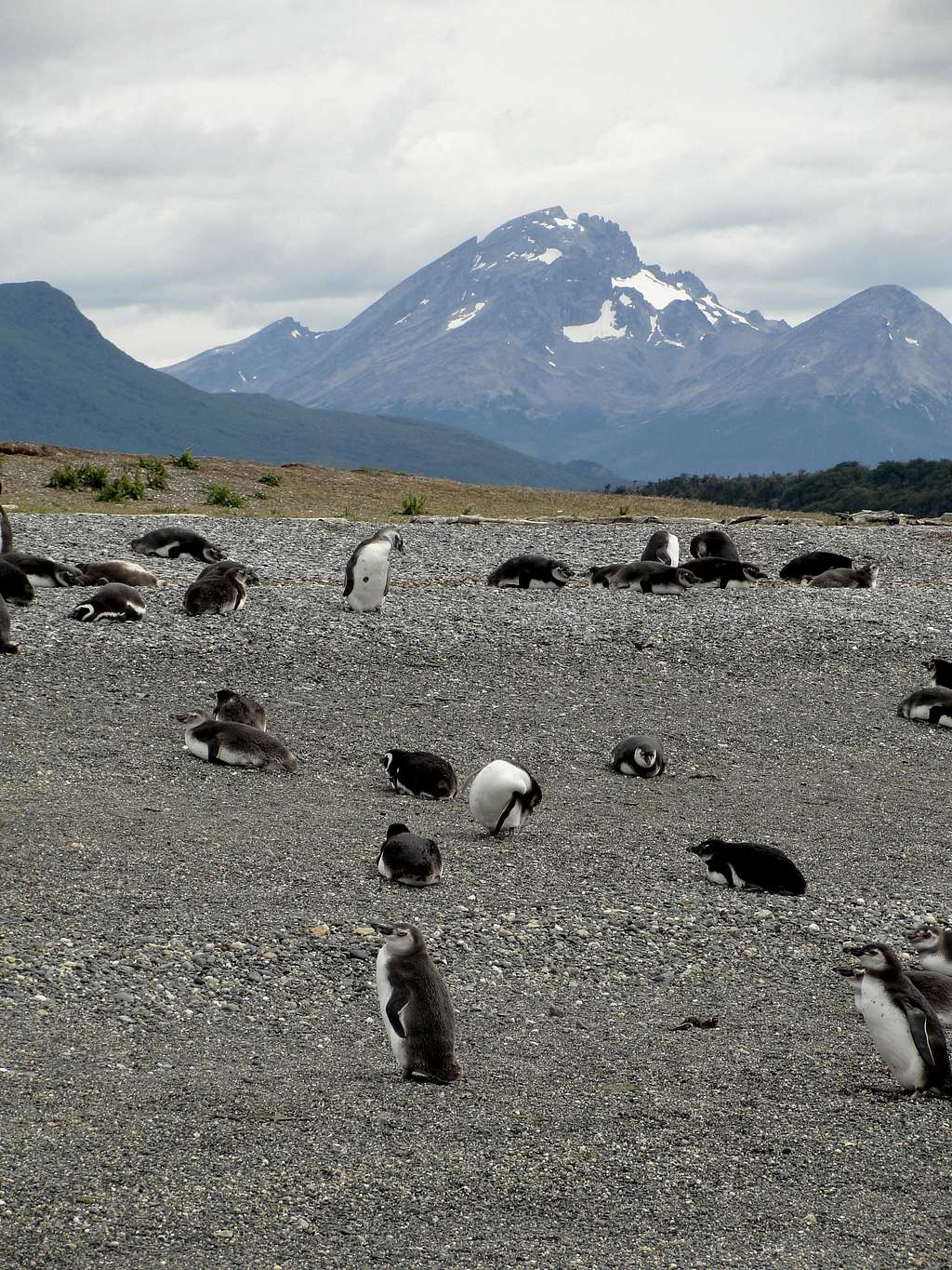 Tierra del Fuego Province