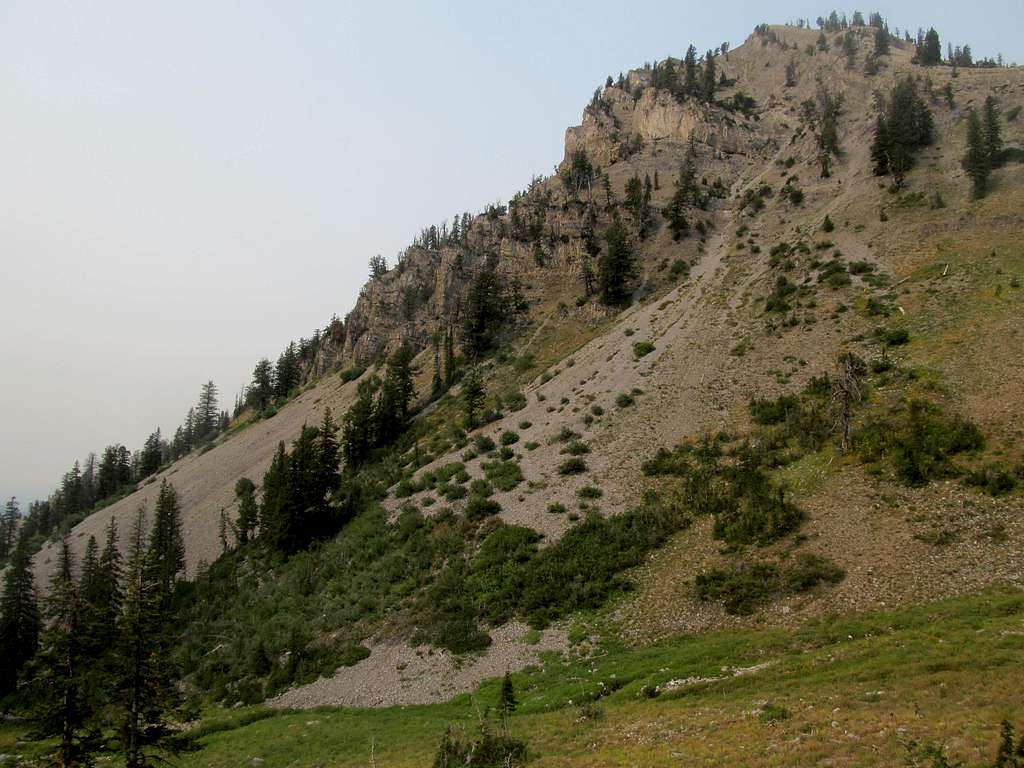 flanks of Sheep Creek peak