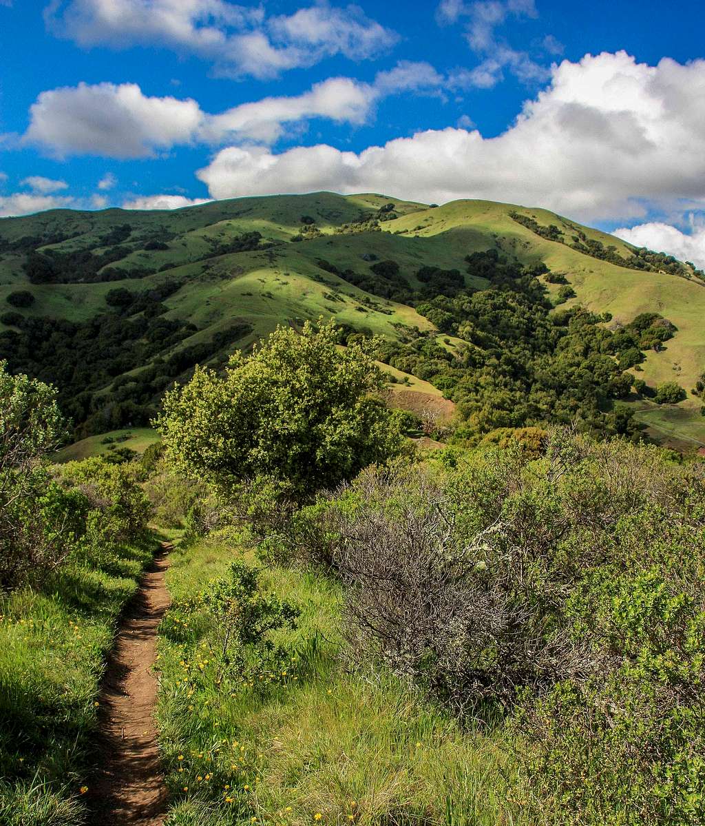 Use trail below Loma Alta
