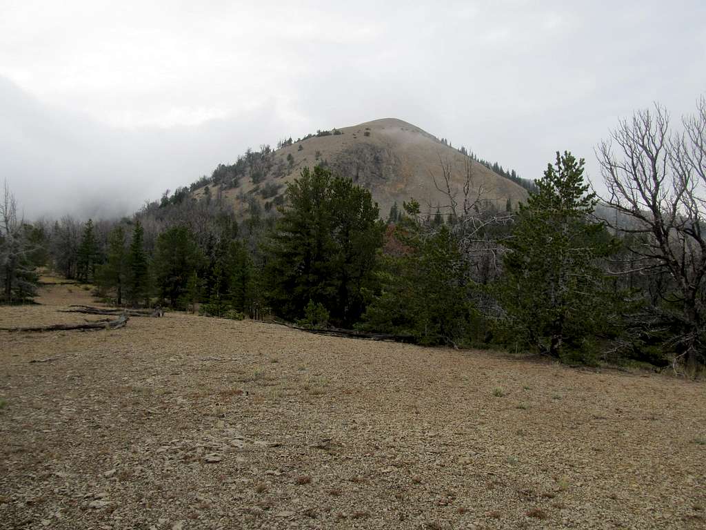 nearby subpeak, Blacktail Mtns, MT