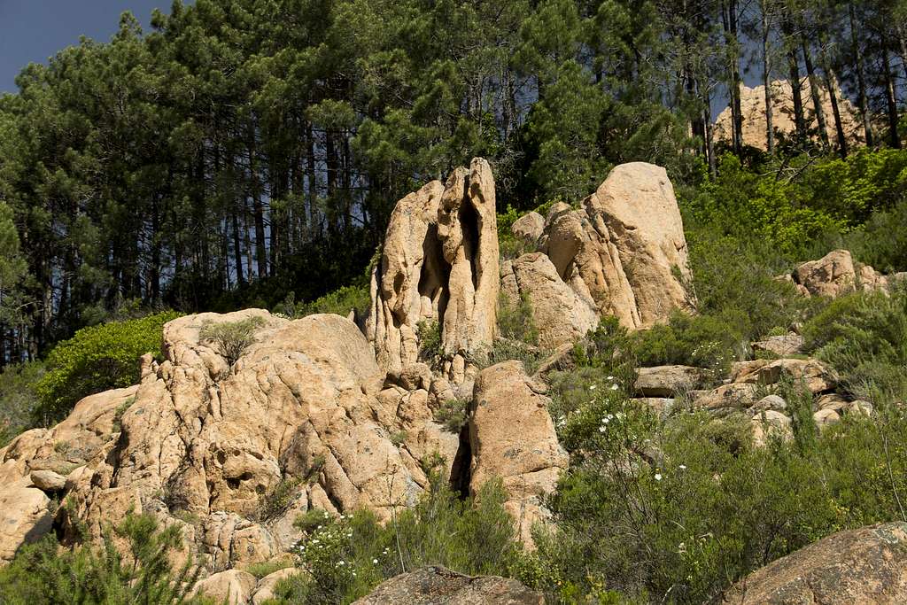 Tafoni Rocks