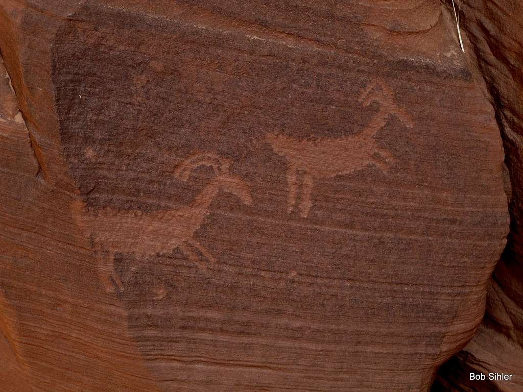 Bighorn Petroglyphs