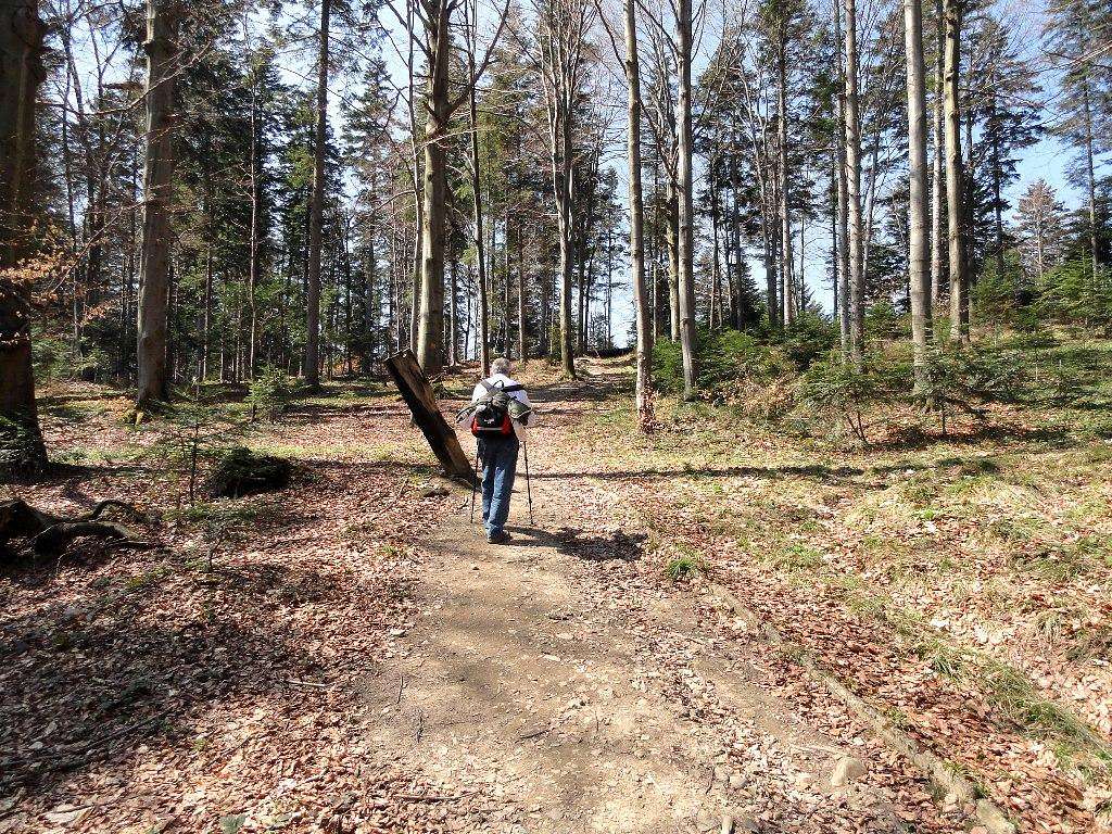 Mount Przedziwna - Our hike – April 22, 2013