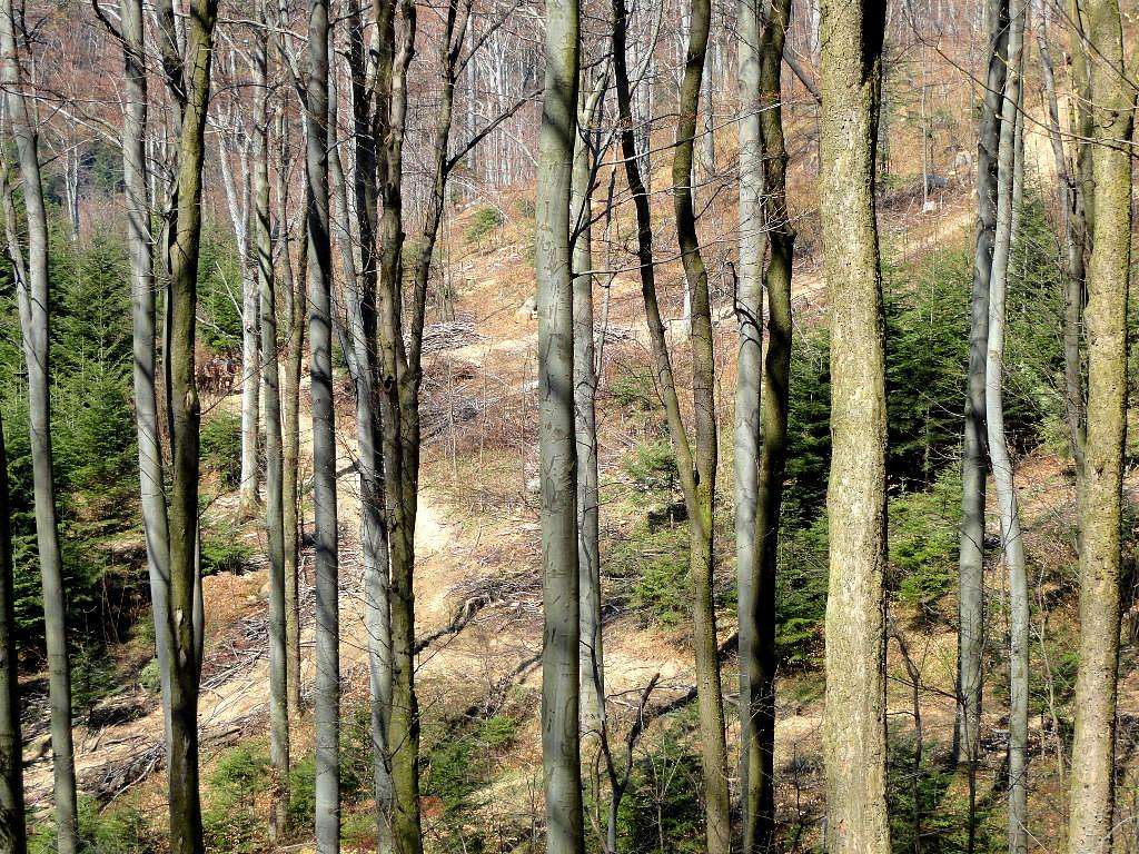 Mount Przedziwna - Our hike – April 22, 2013