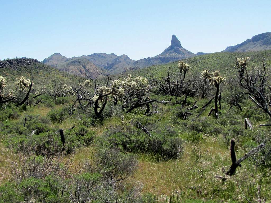 Weavers Needle