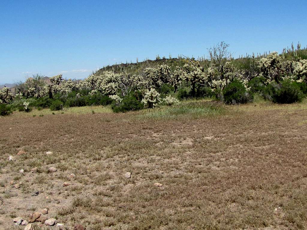 High point on Black Mesa Trail