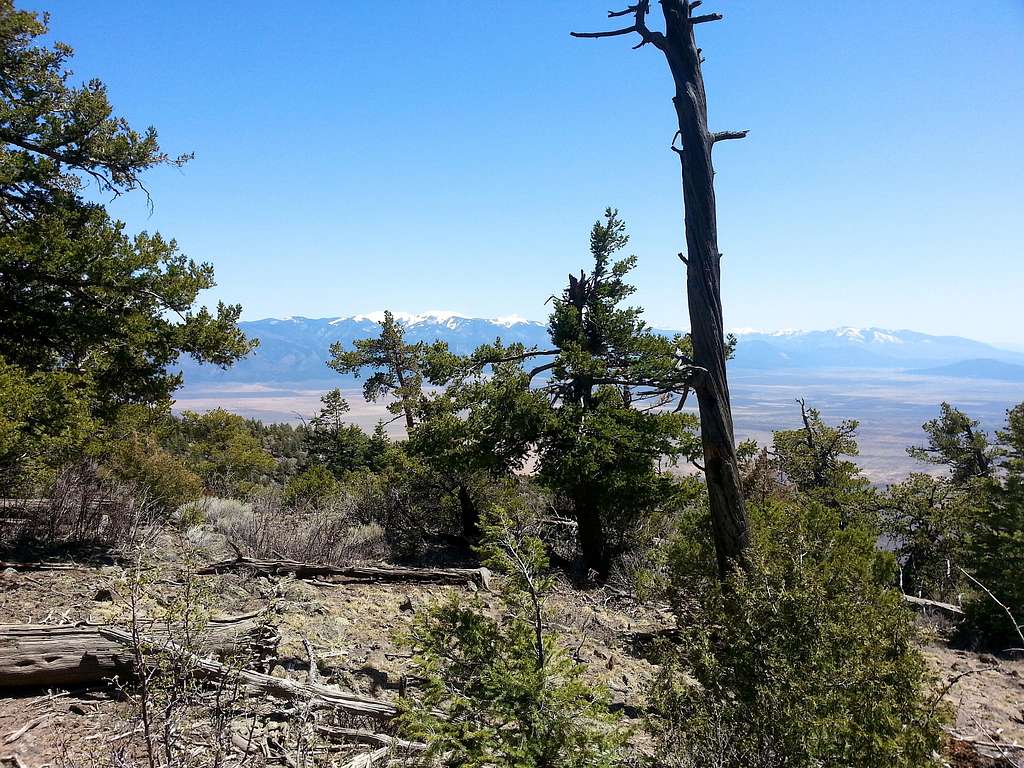 View of Latir Peak Wilderness area from near the summit of Ute Mountain