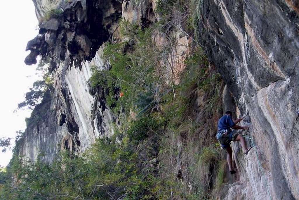 Sport climbing on Maui Thai...