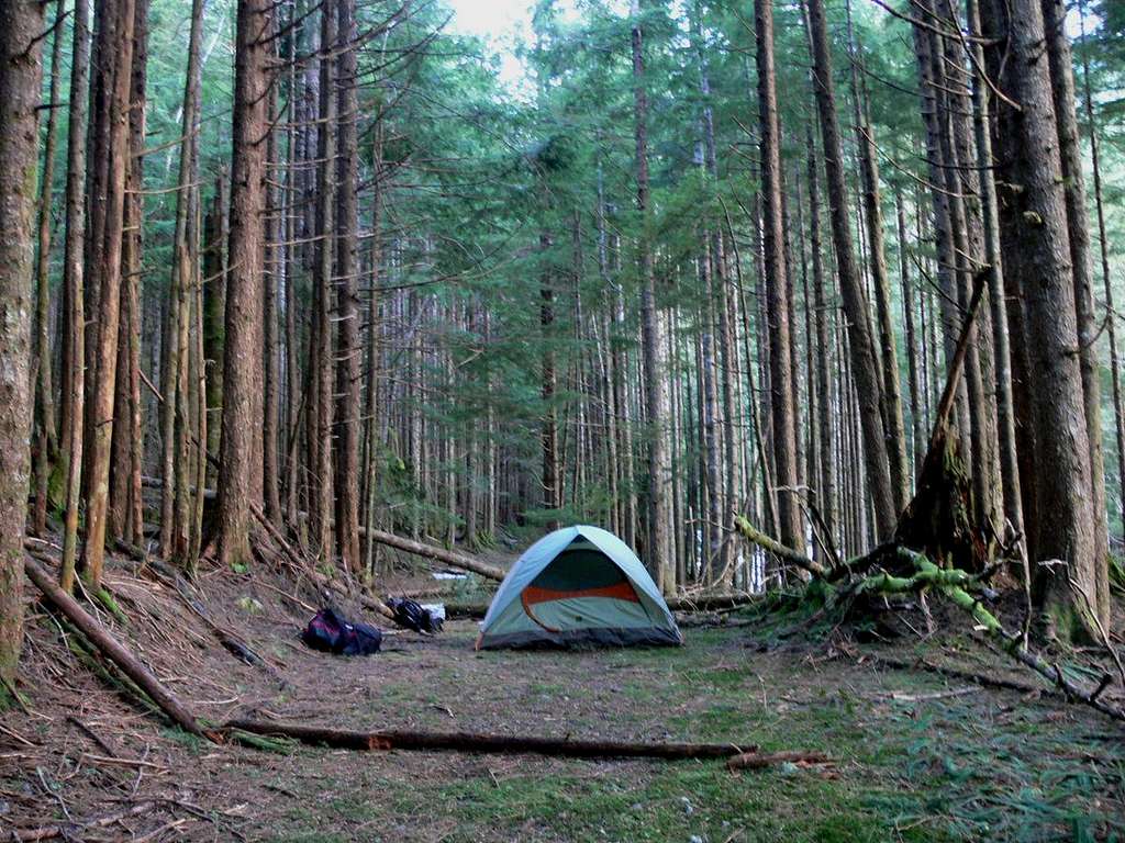 Camping in the Woods