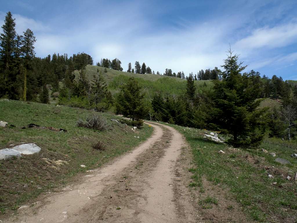 Buck Mountain Lookout Road