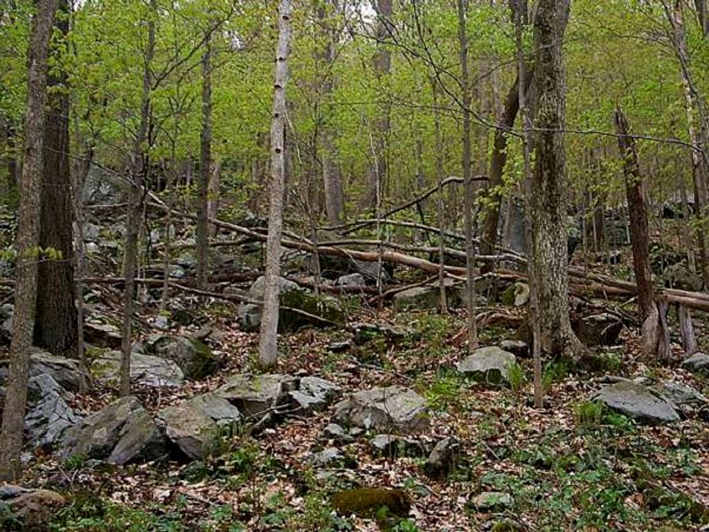Laurel Highlands Trail