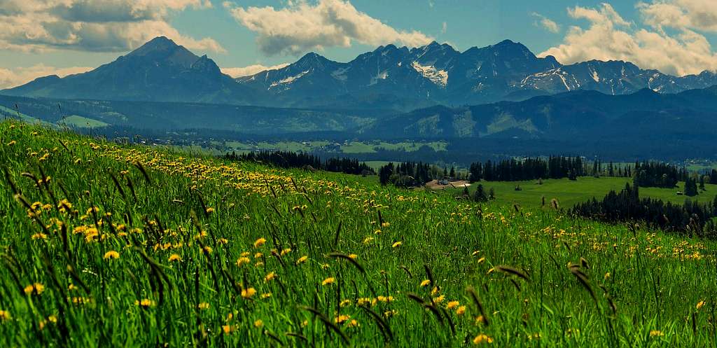 Panorama of Tatras from village Ząb