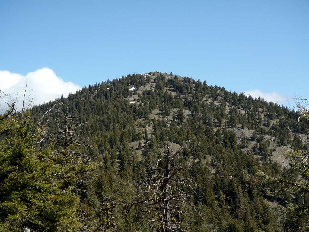 Fawn Peak