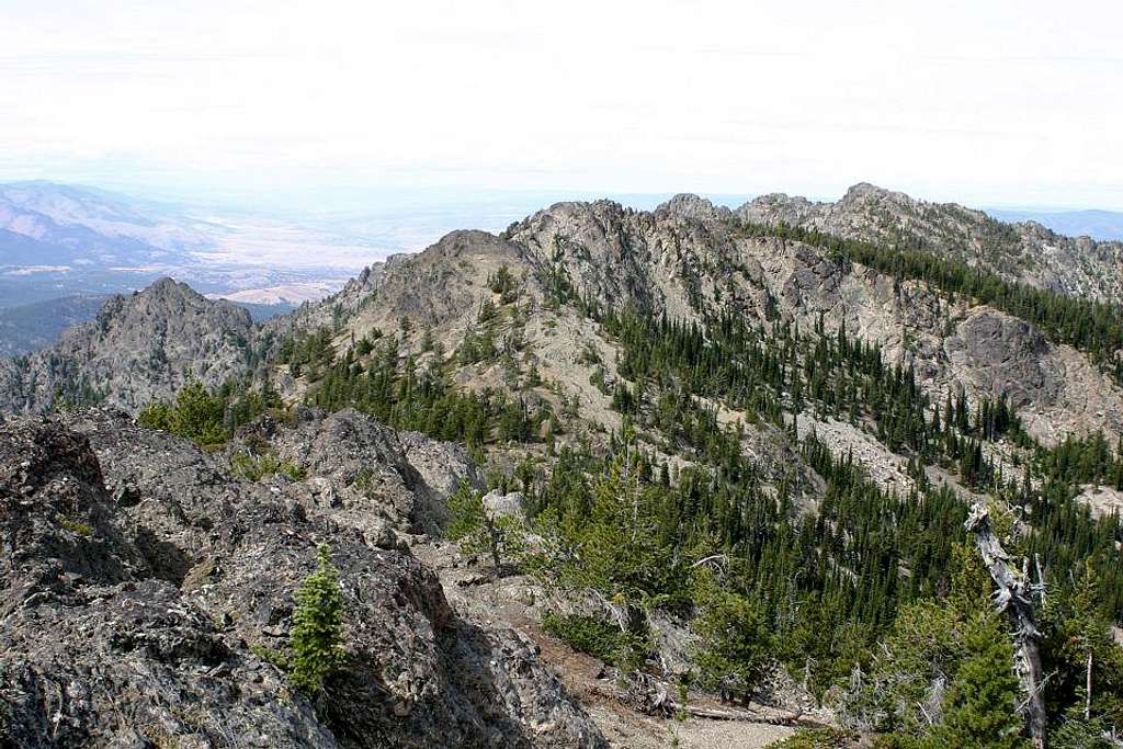 View of Canyon Mountain from Berry-Norton Summit