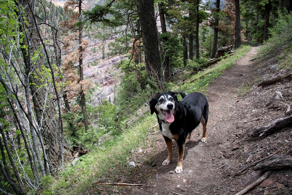 Twin Peaks trail