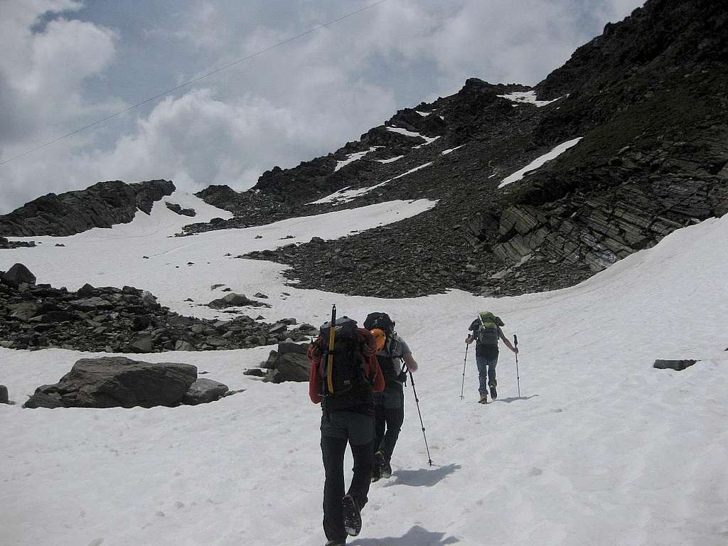 Early summer snow field