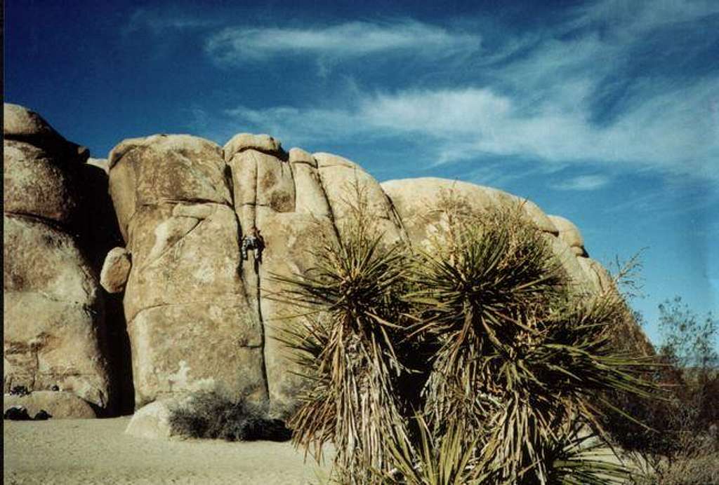 Soloing Joshua Tree's Double...