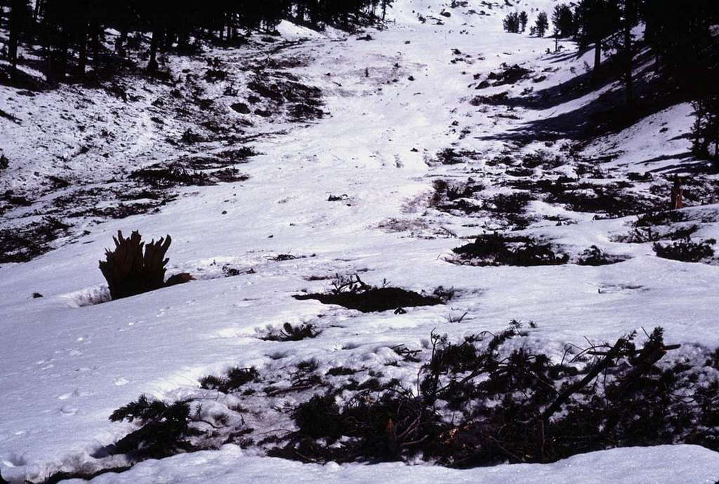 Upper Path of Avalanche
