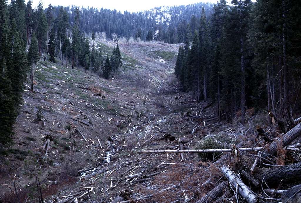 Avalanche Path