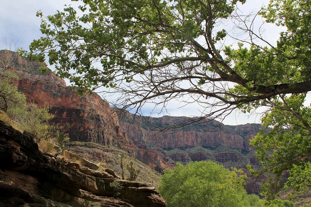 South Rim seen from just below Indian Gardens