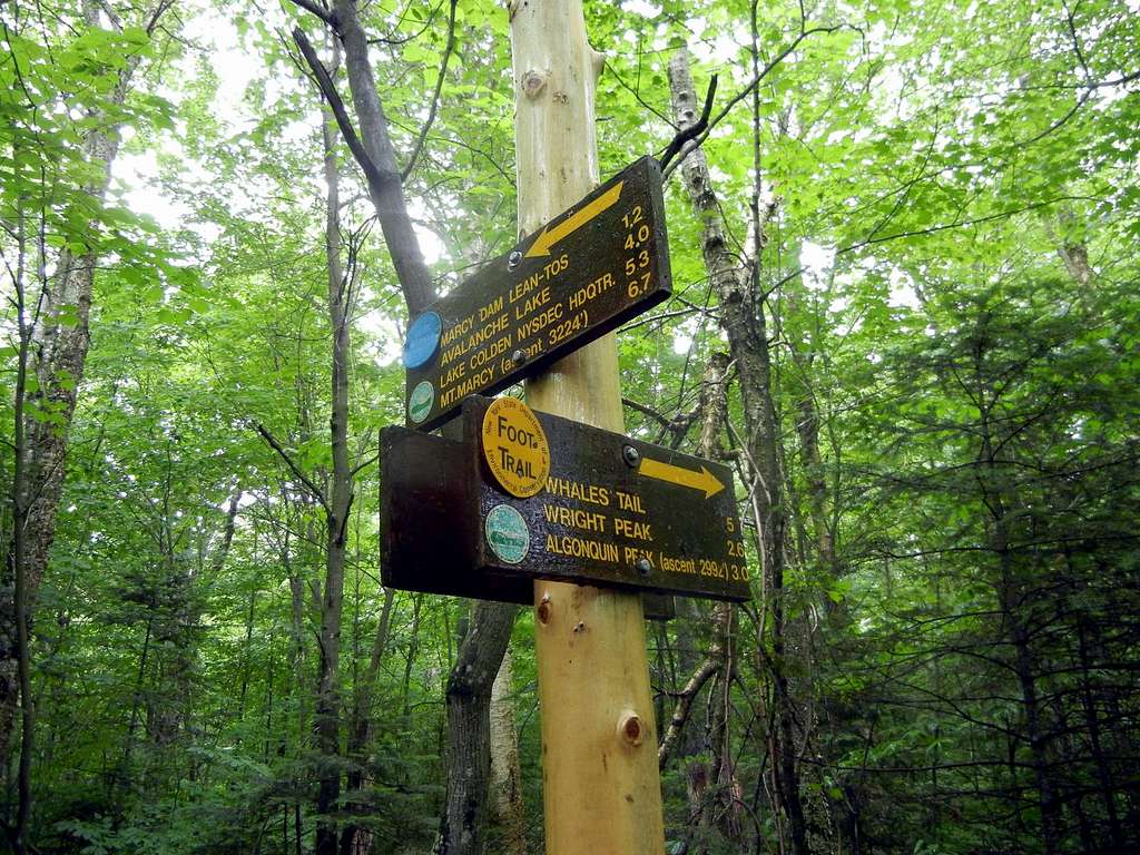 Trail Splits for Algonquin and Marcy
