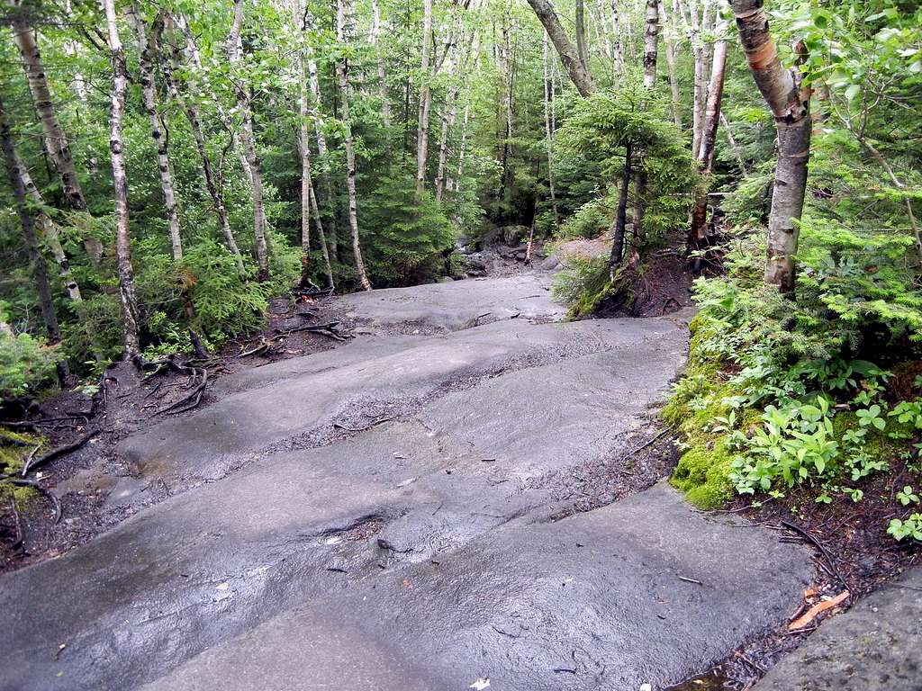 Wet Slab Section