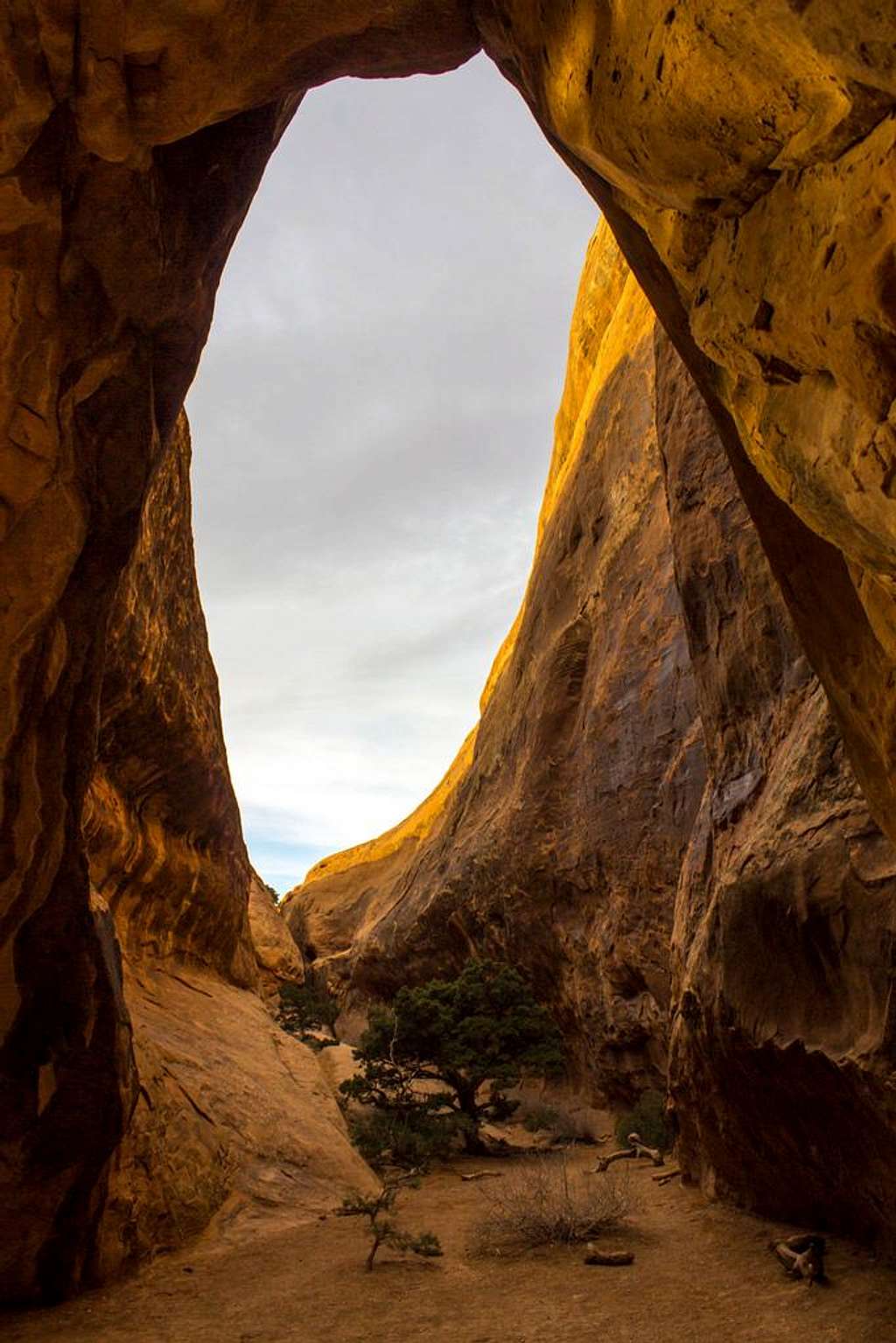 Behind the Arch