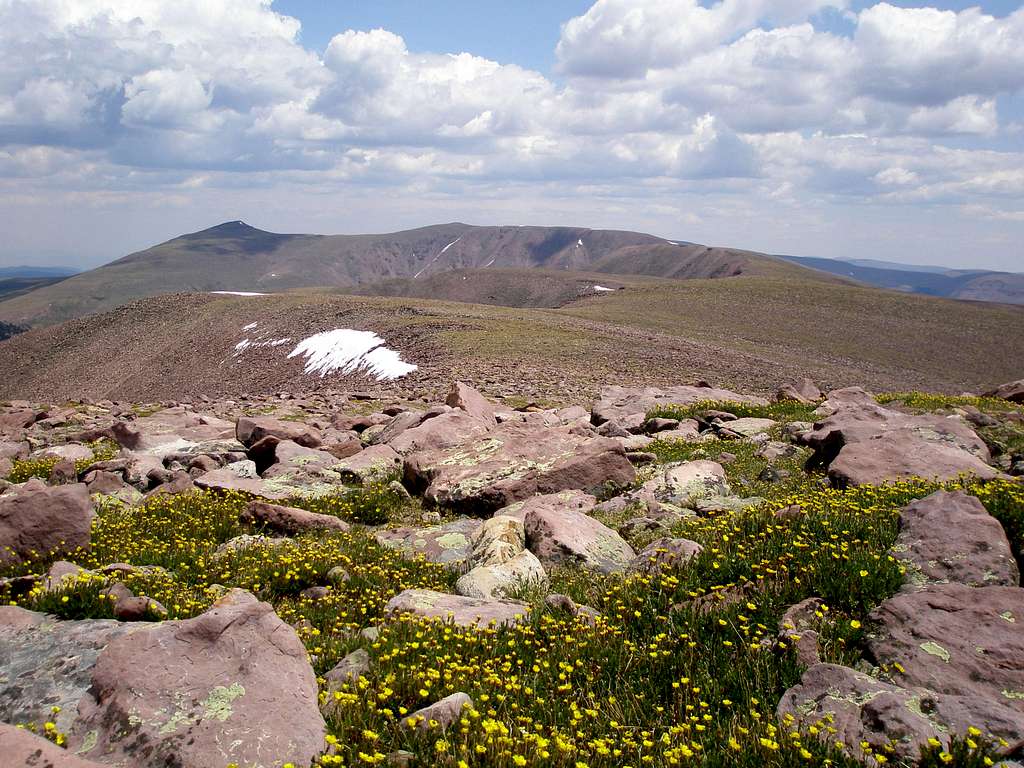 North and South Burro Peaks