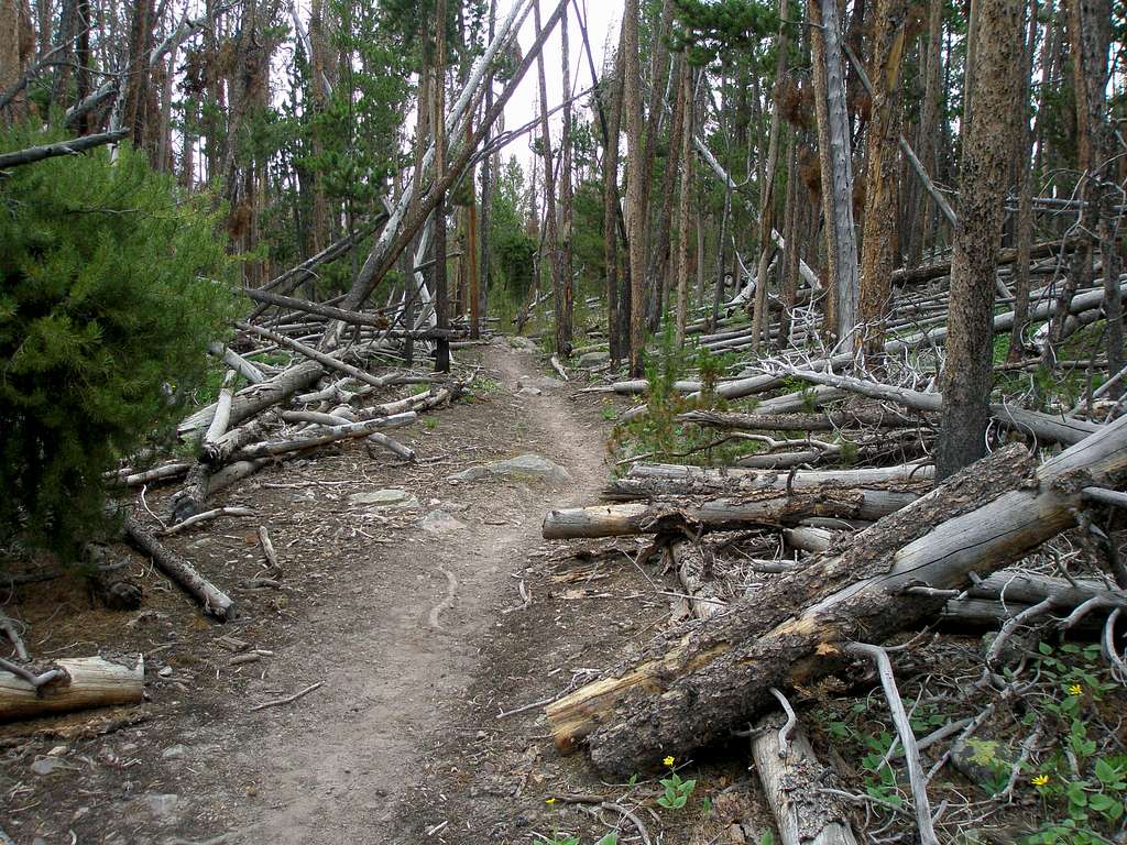 Middle Beaver Trail