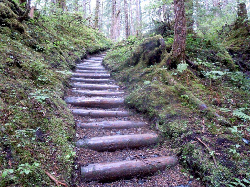 Trail steps