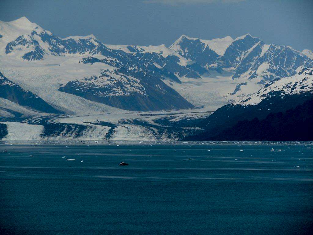 College Fiord glaciers