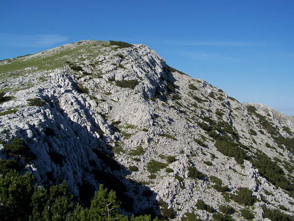 Gorica (1698 m)