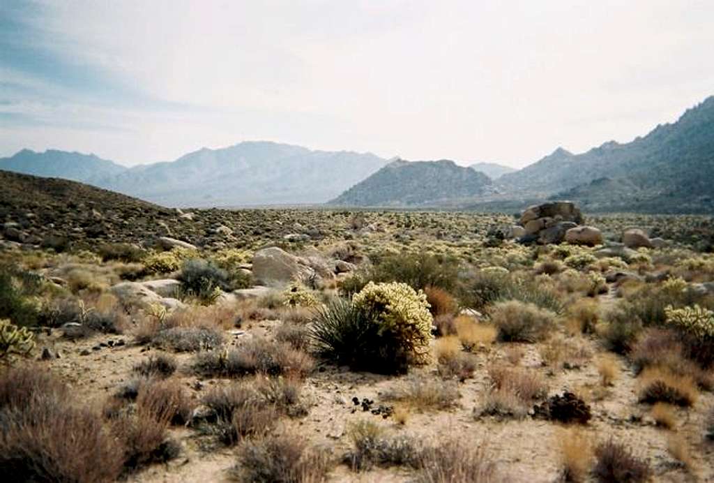 The desert terrain in...