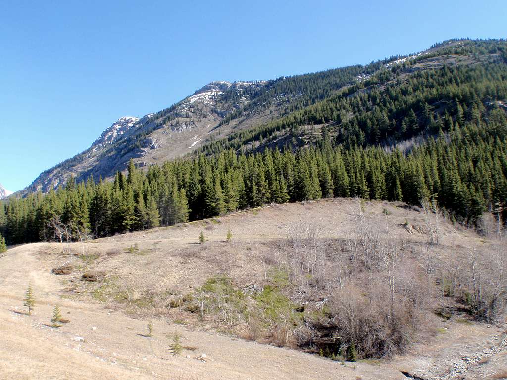 Start of King Creek Ridge Trail
