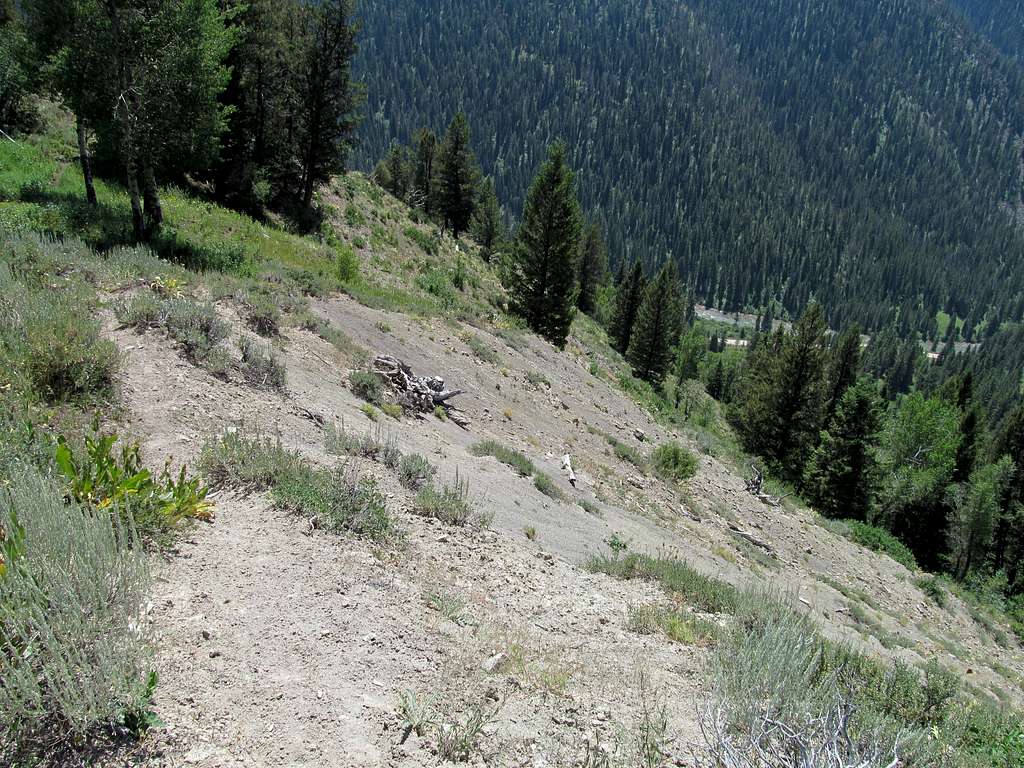 steep initial push of the trail