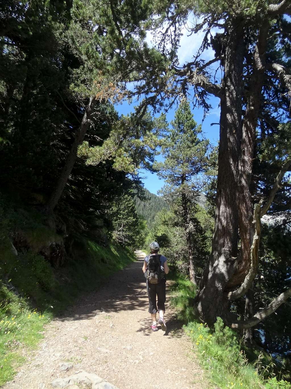 West trail of Lac de l'Oule