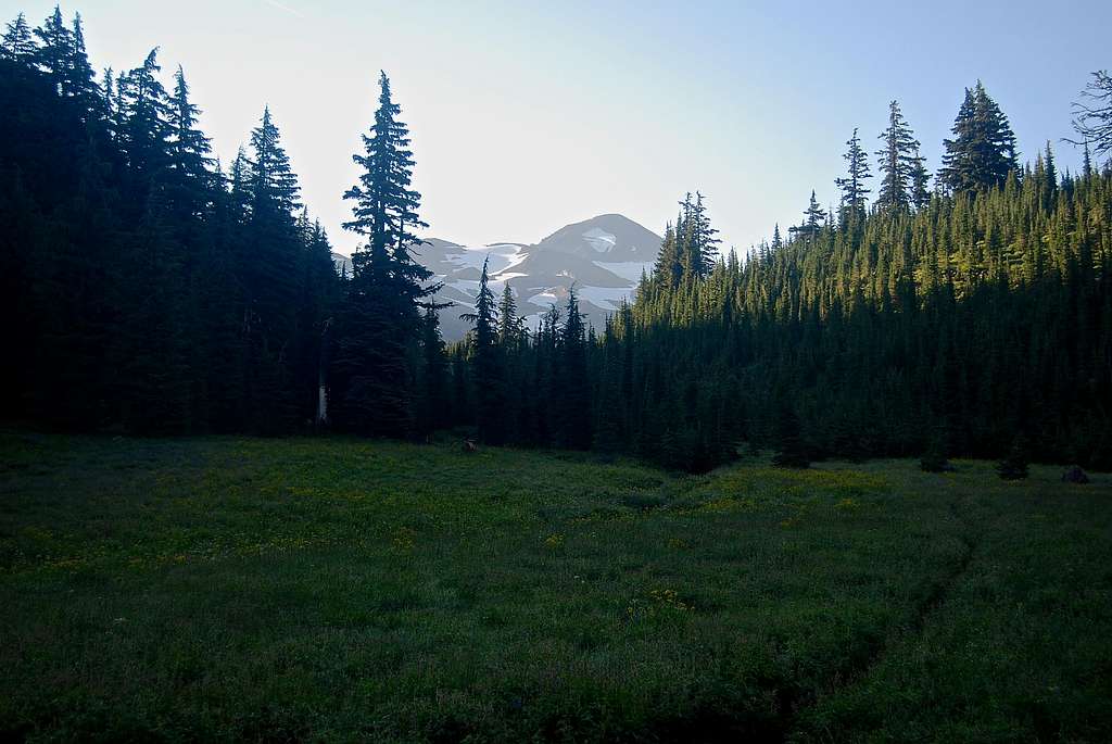 Middle Sister Meadow