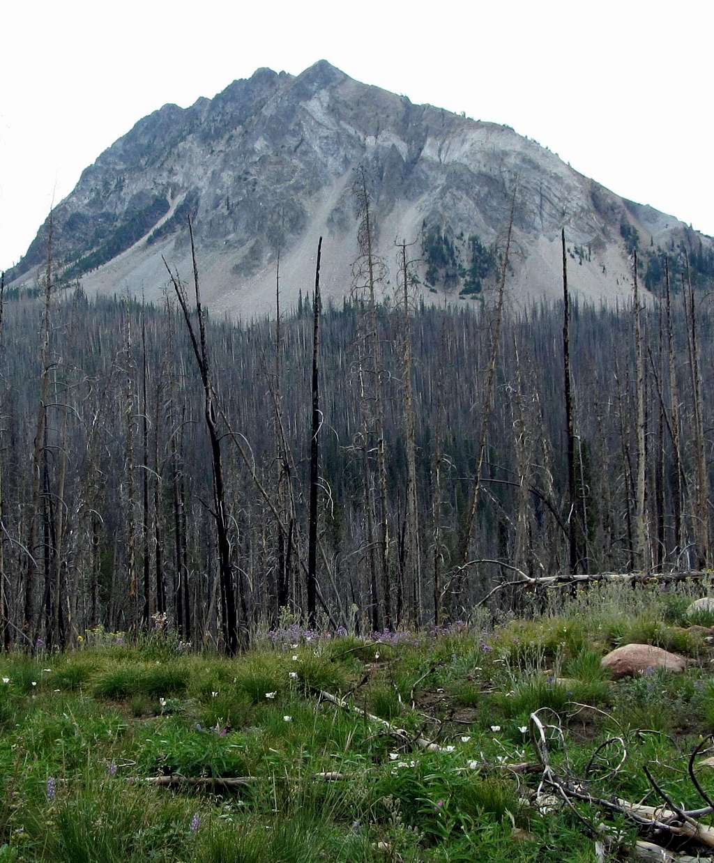 Un-named White Cloud Peak